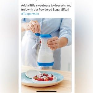 Tupperware Sifter